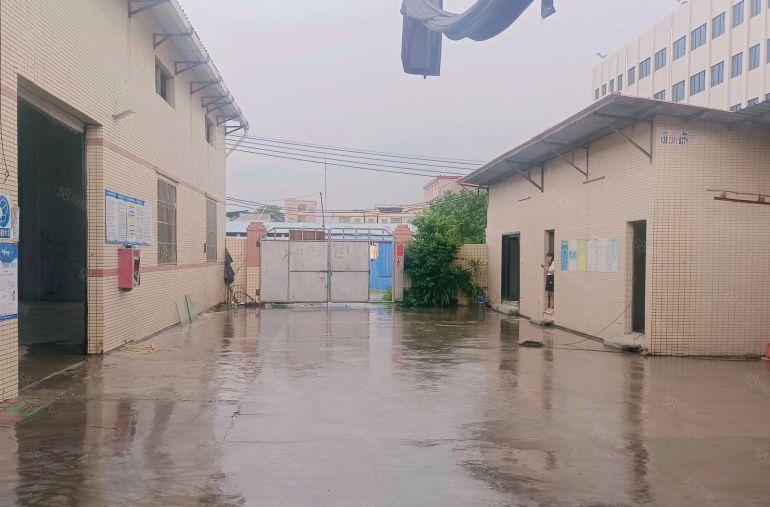 园洲原房东独院厂房出租1200平方，证件齐全可办环评交通方便