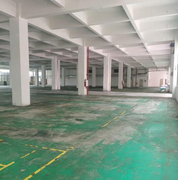 靓四角楼标准厂房16000平米招租