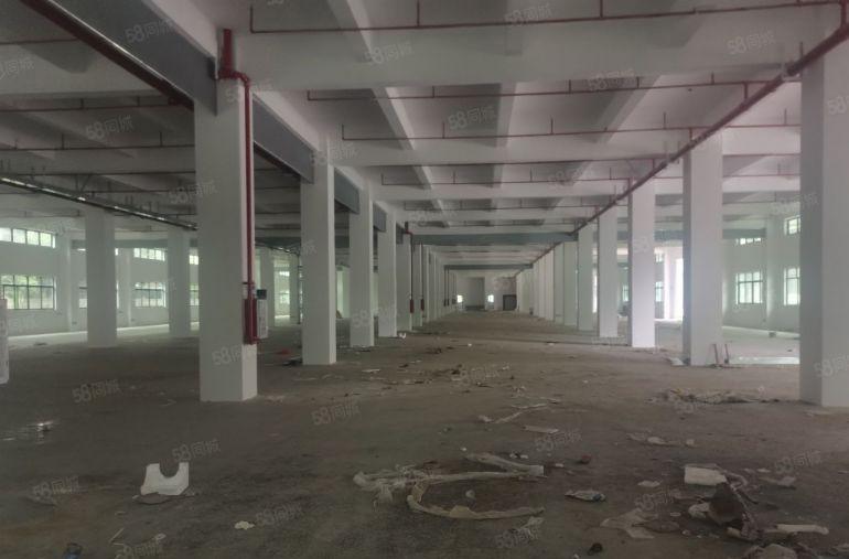 博罗县独门独院全新厂房仓库低价出租，交通便利，大小分租