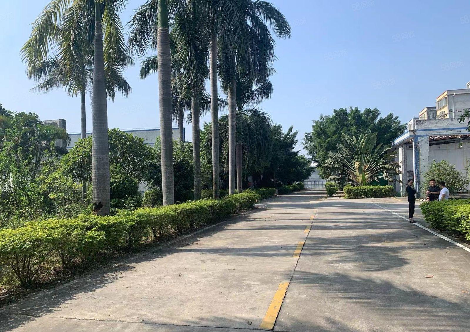 原房东厂房直招，独门独院4500平，现成办公楼，独立食堂宿舍