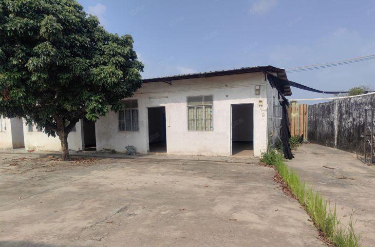 钢结构单一层 双龙大道边独门独院厂房出租