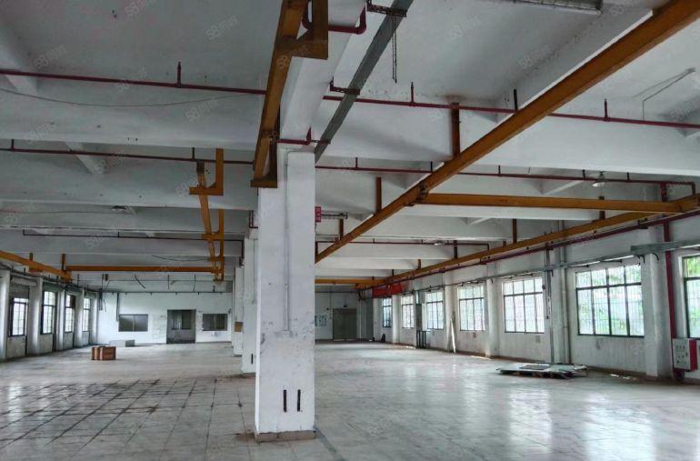 园洲镇原房东标准厂房4000平米，宿舍办公800平米出租