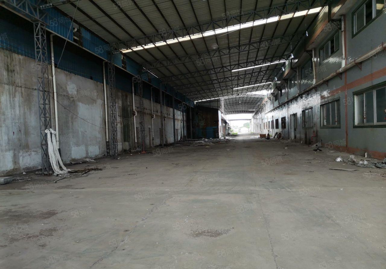园洲广惠高速口原房东花园式红本钢构厂房40000
