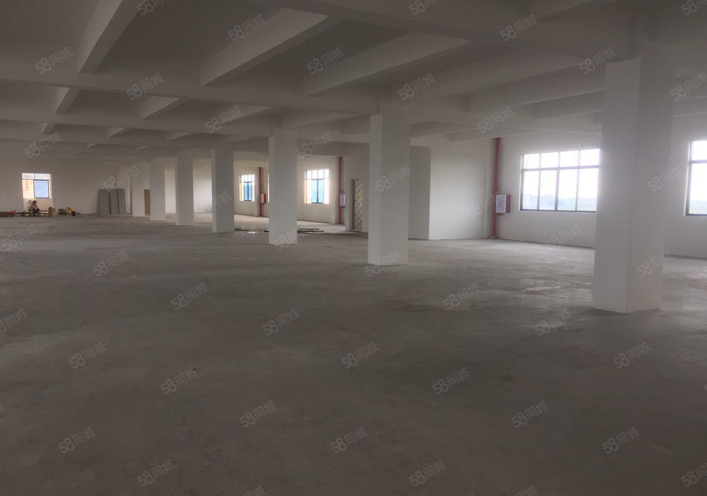 石湾高速路口全新厂房10000平方，可办环评，形象好，近高速