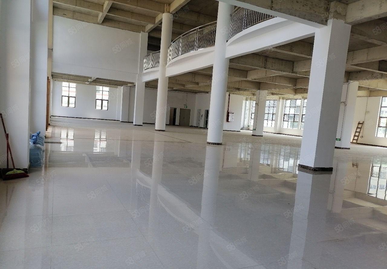 不停电园区！罗阳镇四角楼全新标准厂房42500出租