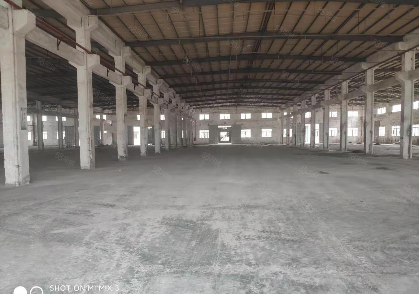 石湾单层钢构厂房出租 18000平 滴水8.5米 带牛角