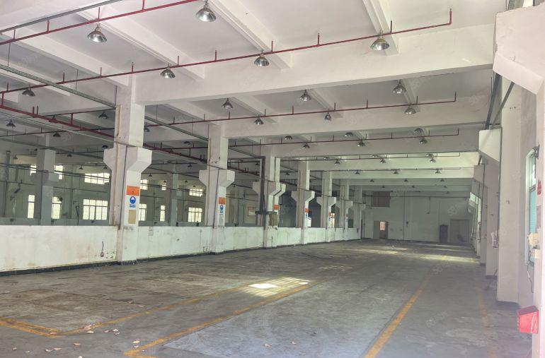 园洲原房东厂房出租独院，适合五金电子研发科技加工等行业空地大