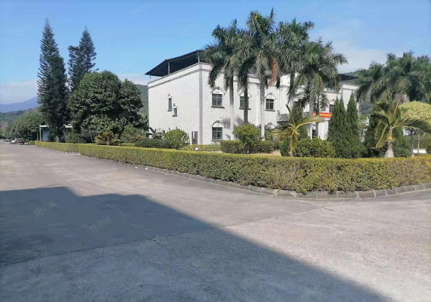 2000起分栋租！26000方独院钢构厂房仓库出租证件齐全