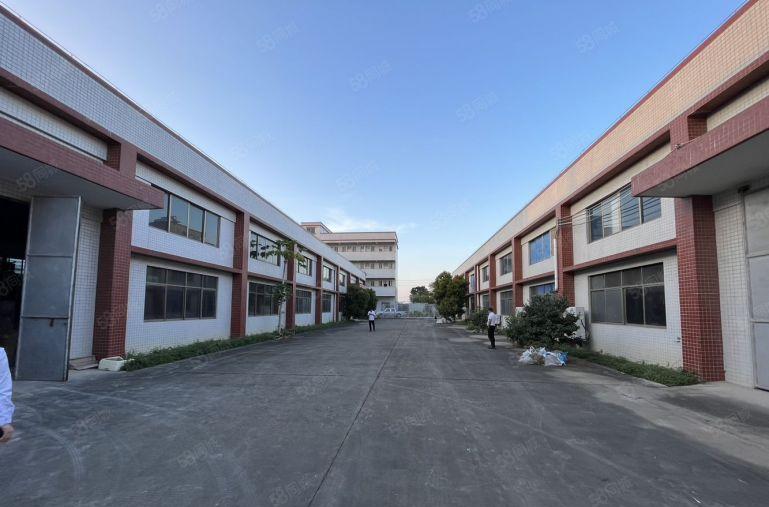 园洲新出一楼3000平钢构厂房出租滴水8米空地很大主干道边上