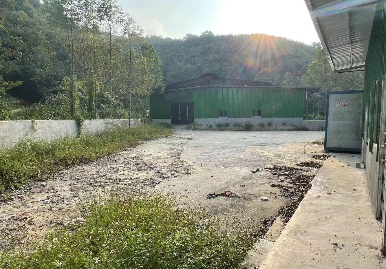 石湾镇新出山脚下周边无居民交通方便原房东独院单一层1600