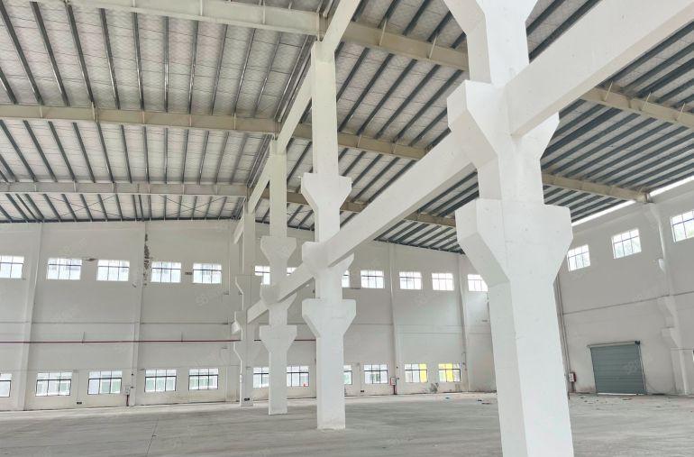 （可用天燃气）博罗滴水14米砖墙到顶单一层厂房