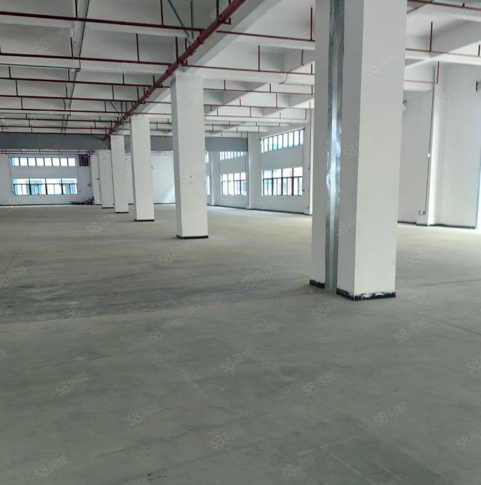 独门独院标准厂房，证件齐全，环评秒过