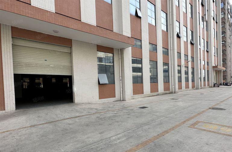 园洲厂房一楼2000平带牛角厂房低价出租博罗中心地带