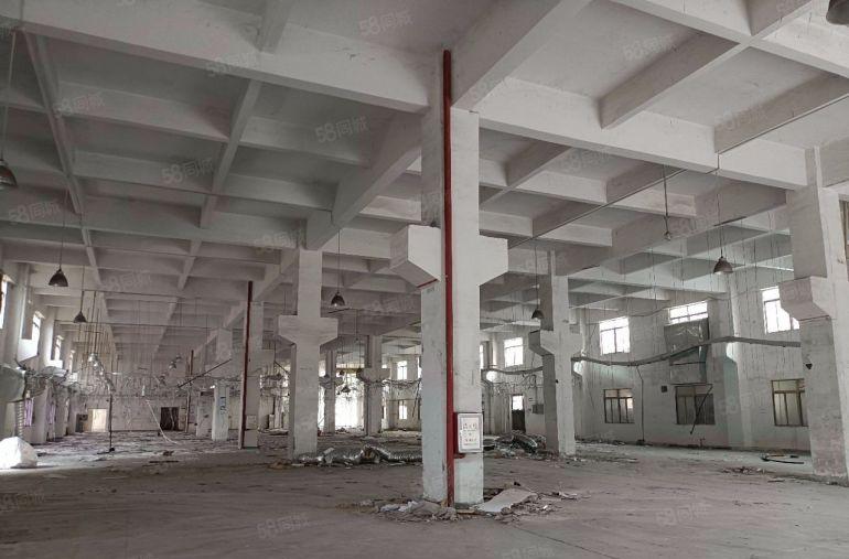 园洲镇原房东花园式标准独院厂房出租！