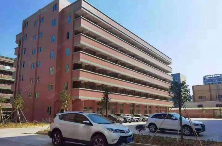 博罗园洲52000平方米标准厂房仅租9元每平方米