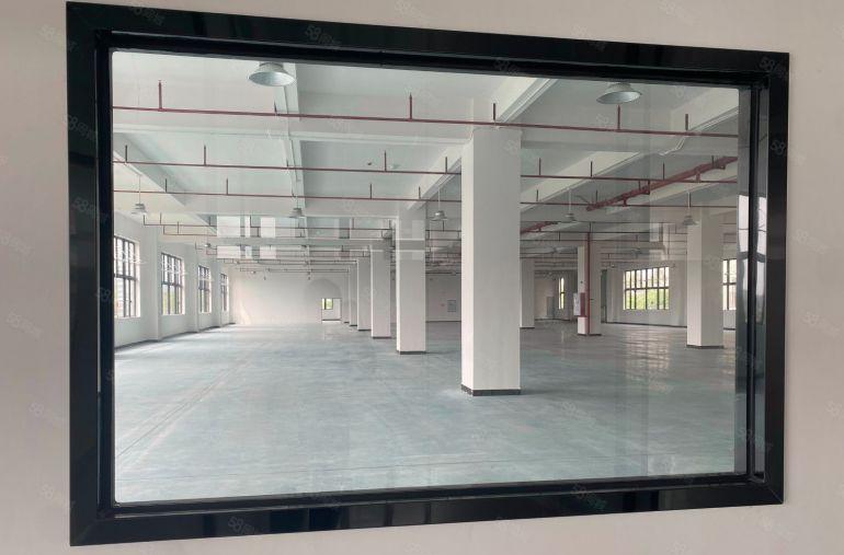 博罗县稀有房源带全新装修只租8元