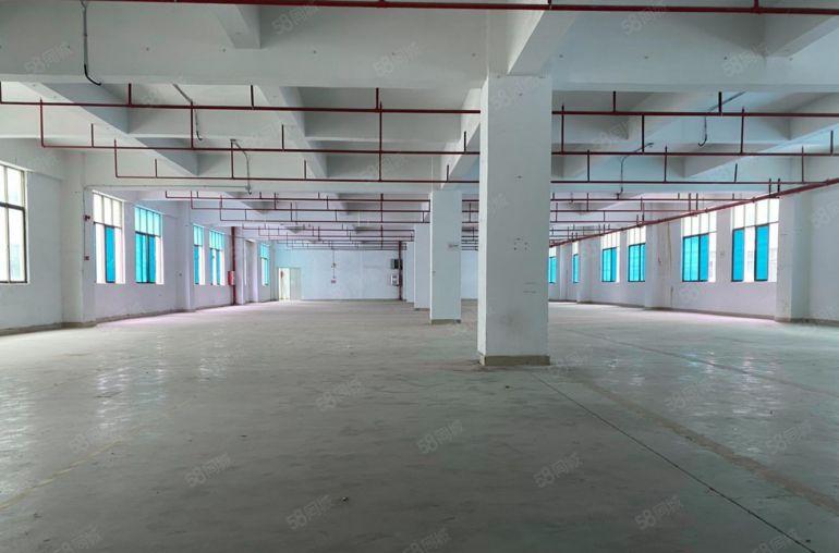 博罗石湾原房东5500平独栋标准厂房 价格9块