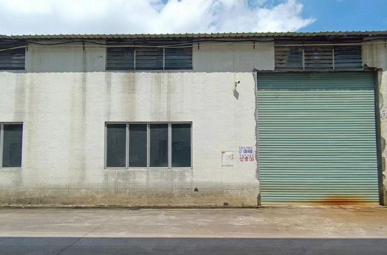 园洲镇单一层分租720平