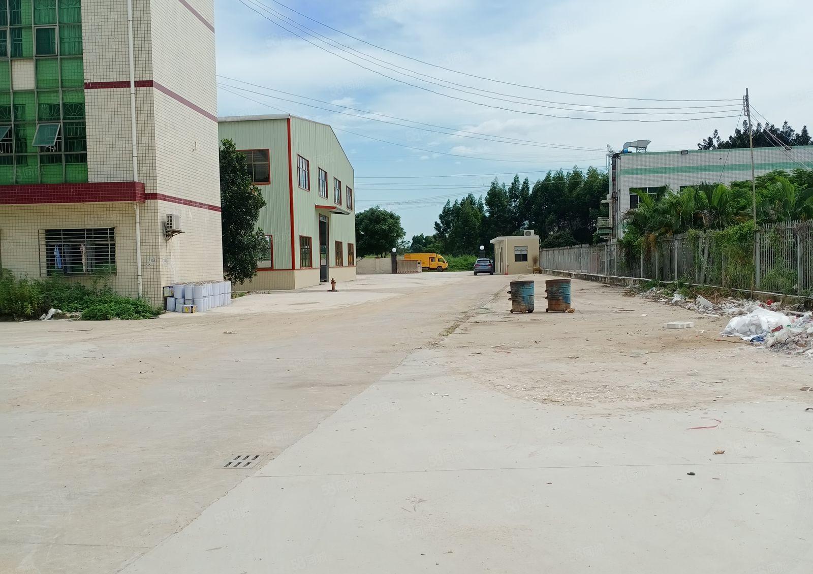 园洲镇 独院单一层钢构厂房6200平方出租，宿舍办公配套齐全