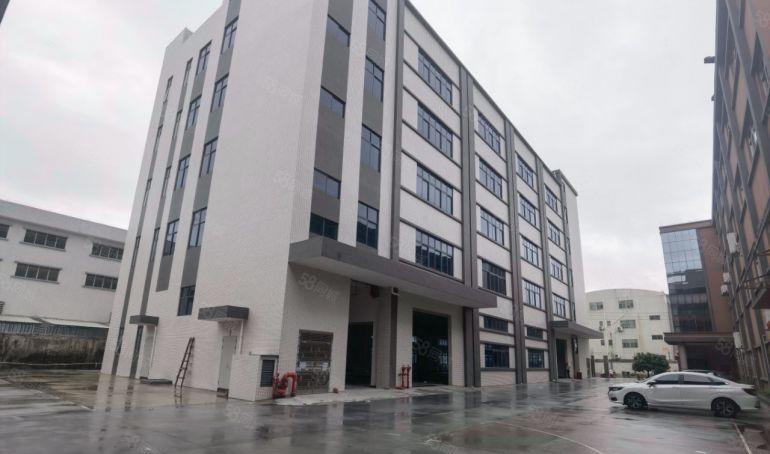 新出！！园洲镇中心位置全新标准厂房独院5500平方低价出租