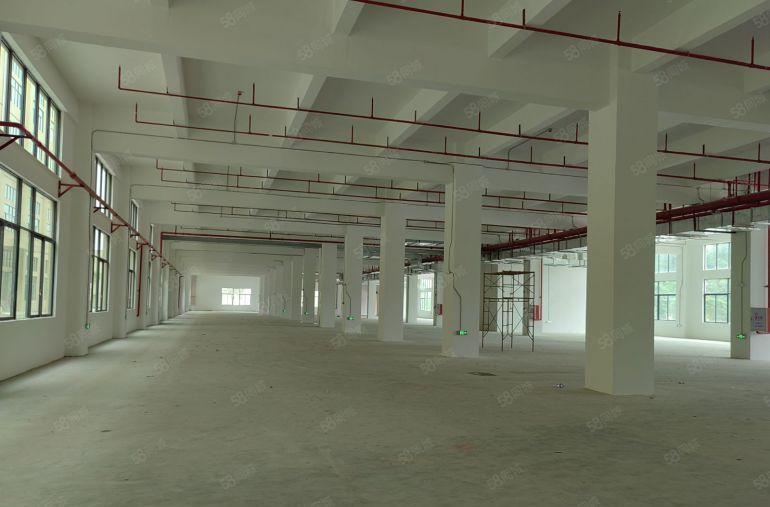 厂房出租带喷油环评！可隔独院！承重2吨！博罗罗阳厂房9万平租