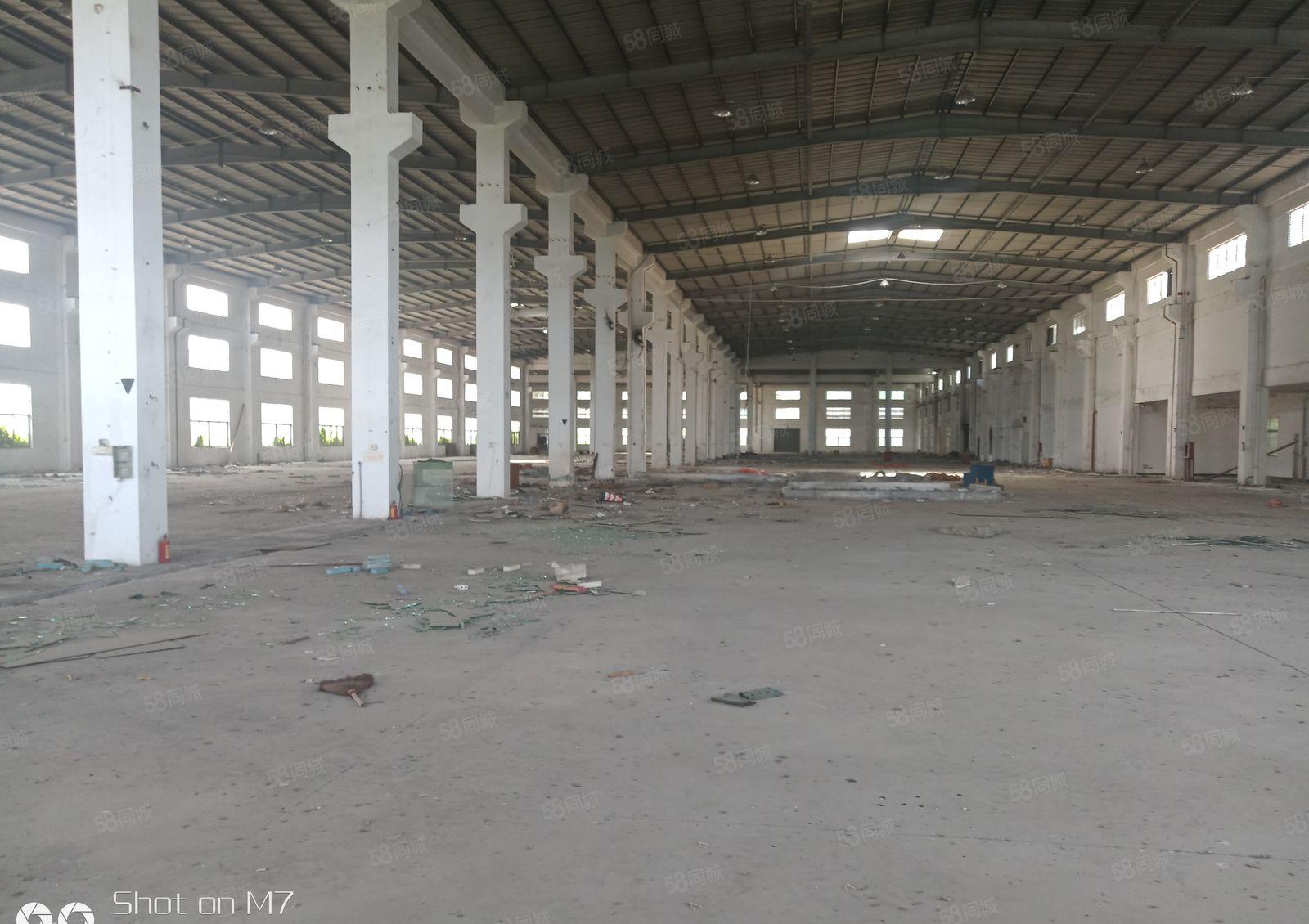 独院单一层厂房18000，滴水10米，空地5000