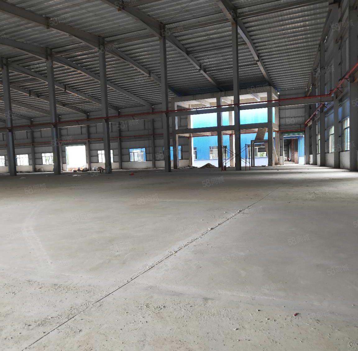 博罗县全新10米高钢结构4300平方招租