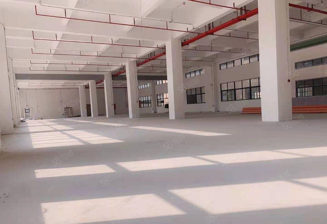 上市公司形象分租厂房 带电梯厂房  工业园 喷油可办环评