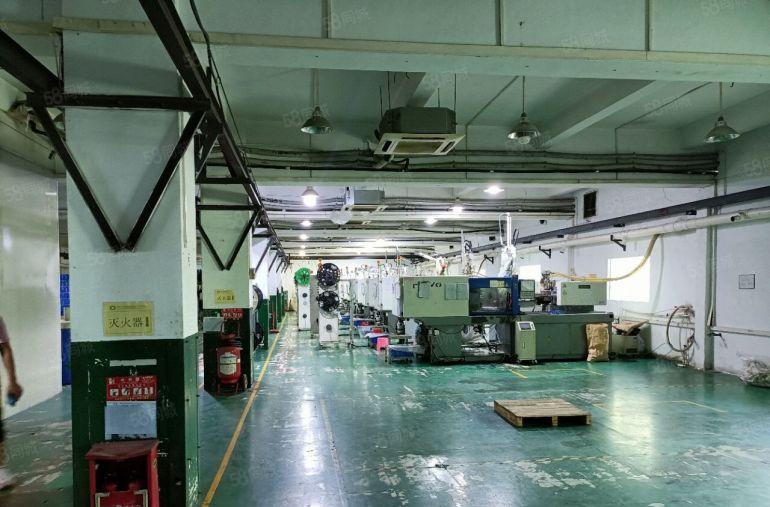 惠州石湾镇独院红本厂房6000平方带现成塑胶环评装修出租