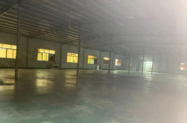 园洲镇500平800平1500平等大小钢构厂房出租仓库出租