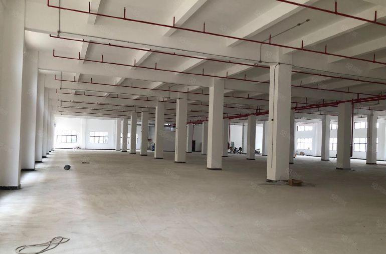 惠州石湾镇铁场原房东独院厂房12500平方出租带红本实际出租