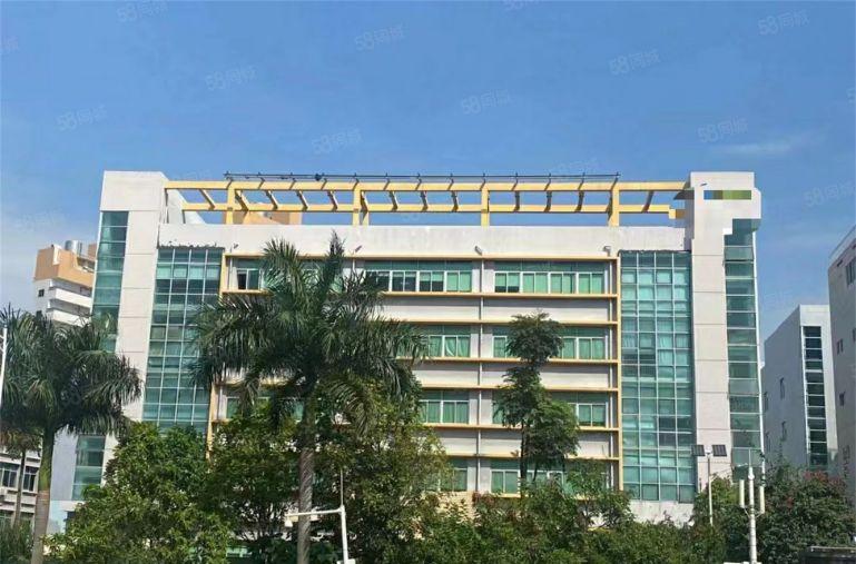 年关急租11块！3月免租石湾带精装修厂房出租可分租500平方