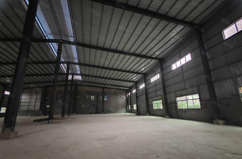 园洲本地老大哥自建单一层880平，滴水8米空地大 价格不贵