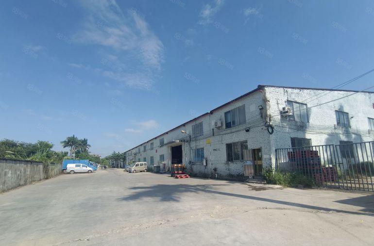 博罗麻陂镇新出钢构厂房低价出租只要10元8米高进车方便