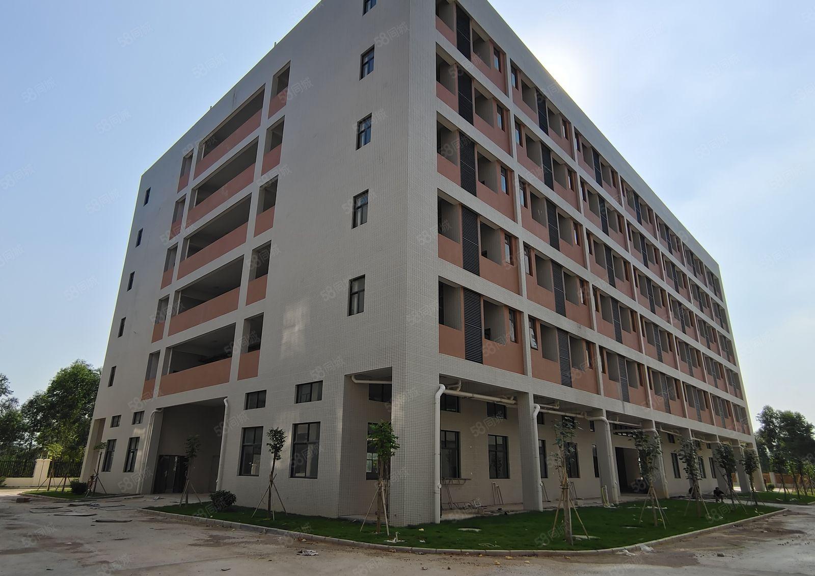 5百8百2千可分租博罗龙溪5万平原房东独院厂房仓库出租带红本