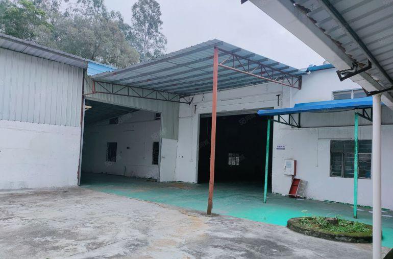 原房东低价出租园洲独门独户单层钢构1250平方证件齐全可分租