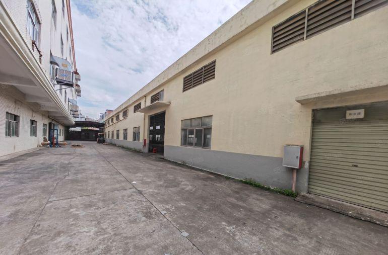 园洲独门独院标准单一层厂房9300平，价格便宜，豪华装修