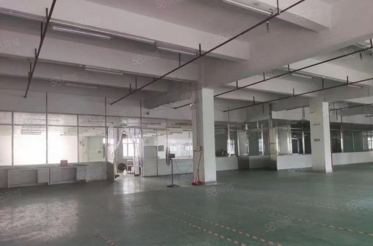 石湾科技园新出6000平方米独院厂房