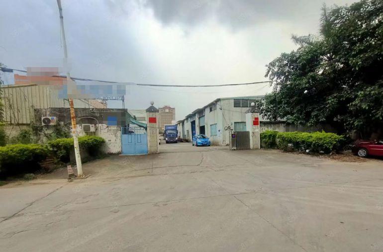 园洲镇原房东砖墙到顶单一层300平