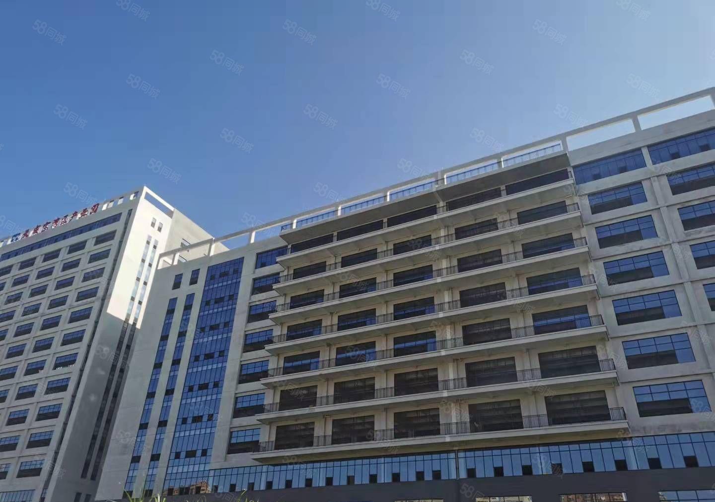 非中介！博罗龙溪镇新出红本双证标准厂房！原房东特价出租！