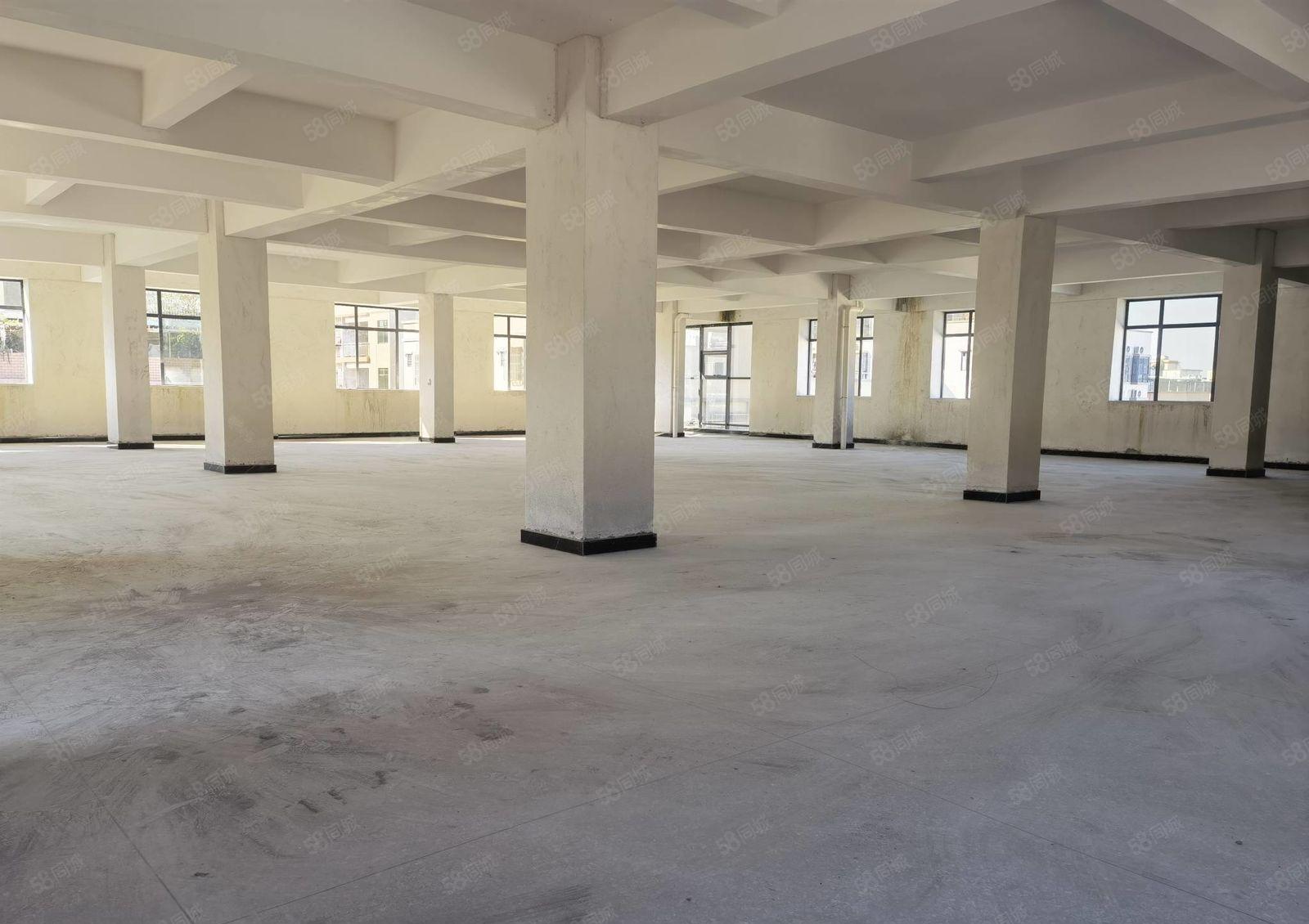 博罗石湾500平方工业厂房出租 办公楼出租 红本可办环评