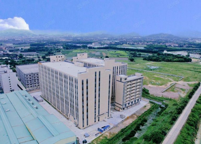 园洲电商福音物流仓库原房东标准厂房出租价格10块