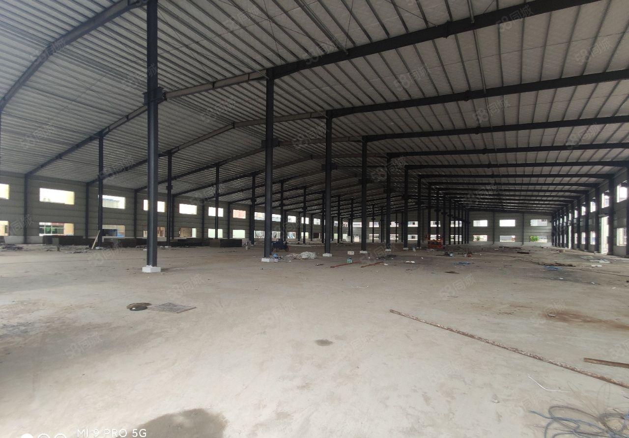 1000平方起租，石湾科技园新建滴水10米单一层厂房出租。