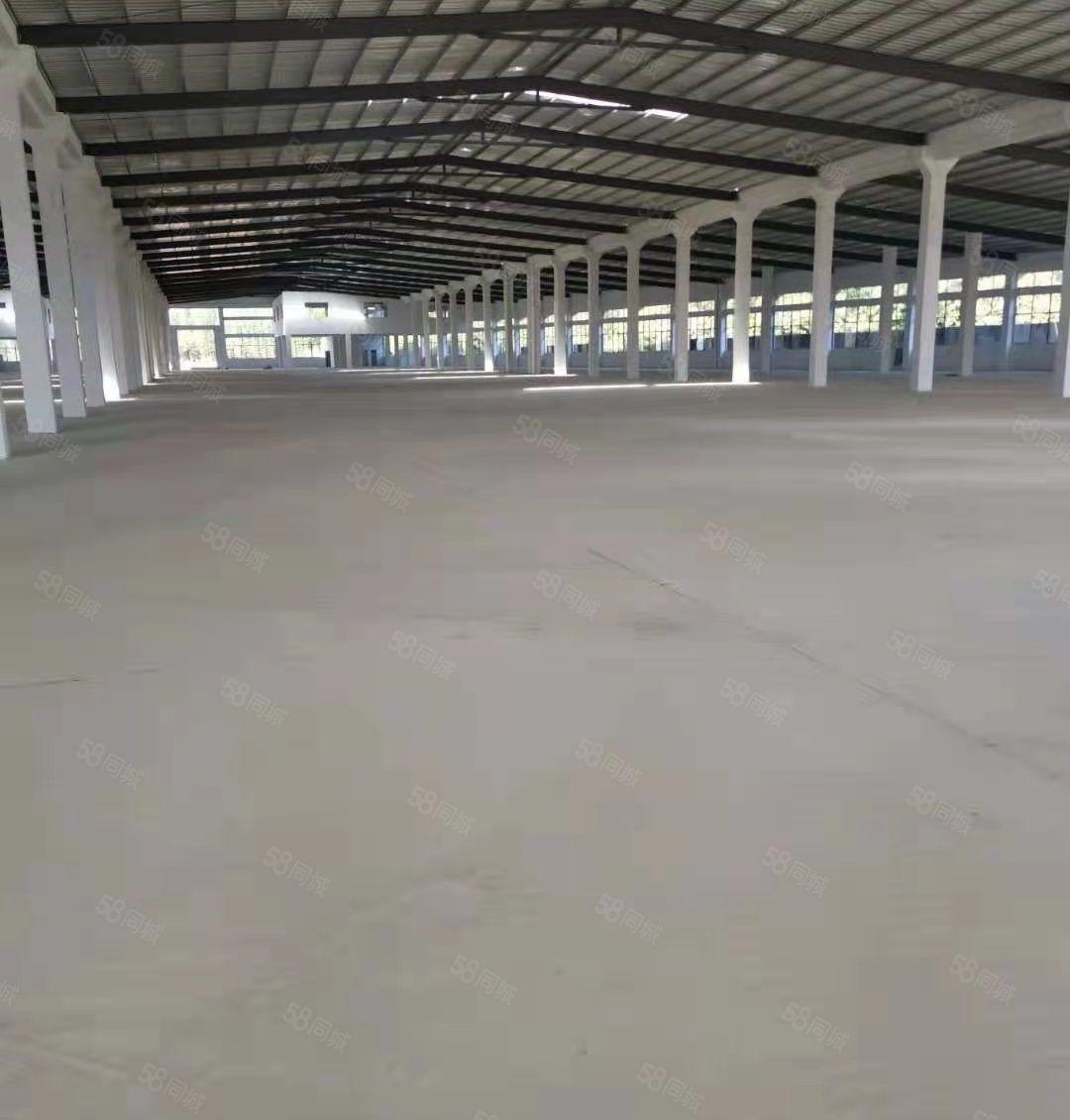 惠四角楼商业广场附近原房东工业区钢构厂房2200平方出租