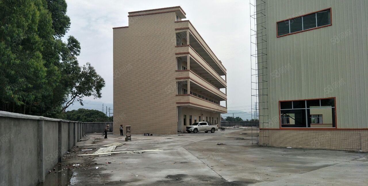 石湾镇单一层钢构厂房出租层高9米