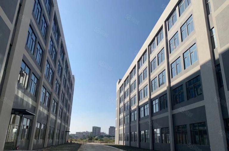 园洲新房！大型园区厂房！