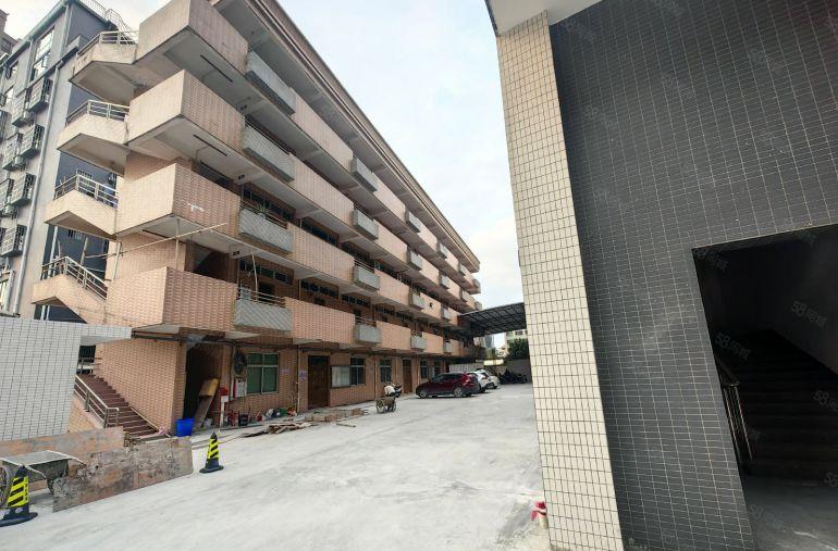 园洲镇中心独院标准厂房4600平米，宿舍900平米出租