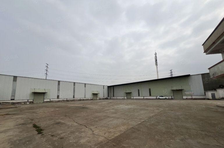 园洲镇独院，单一层厂房2300平米，宿舍800平米