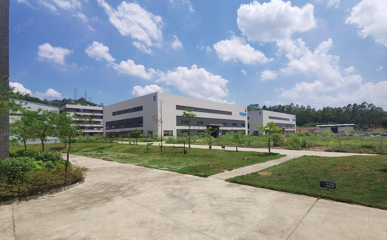 园洲单一层加标准厂房总面积41000平方