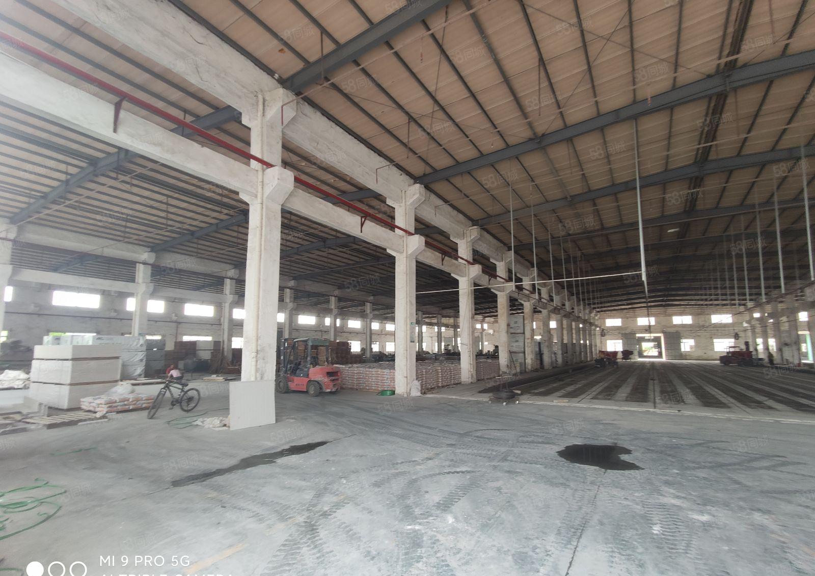 石湾科技园，18000平方独院，滴水9米，单一层厂房出租。